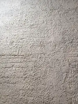 strip 1212 online show from 01/17/26, 11:19