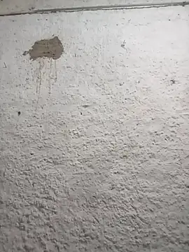 strip 1212 online show from 03/01/26, 02:52