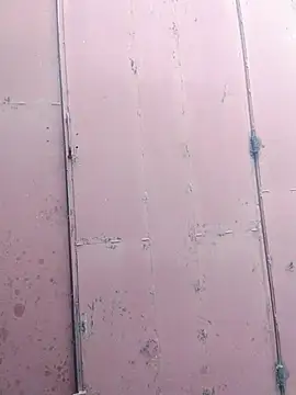 Polygamist online show from 12/16/25, 07:46