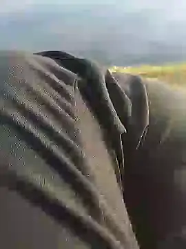 hexsmith96 online show from 12/18/24, 02:17