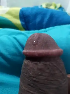 Snapshot of Pleasuredome01 chatting on 05/31/26, 05:26 Pleasuredome01 online show from 05/31/26, 05:26