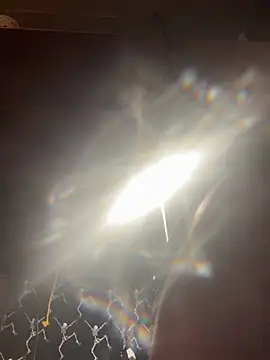 mascmo88 online show from 01/05/26, 11:52