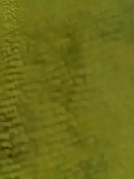 sadunt online show from 12/17/25, 09:26