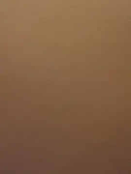 EvaRush online show from 02/16/25, 08:11