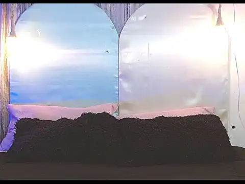 tylor boy online show from 01/07/26, 04:26