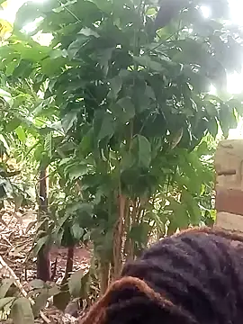 Snapshot of Black_juicy24 chatting on 01/26/25, 12:01 Black juicy24 online show from 01/26/25, 12:01