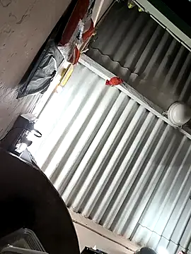 arppyyyxx online show from 10/22/25, 07:35