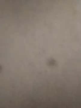 Snapshot of rohitlov150 chatting on 02/23/25, 06:12 rohitlov150 online show from 02/23/25, 06:12