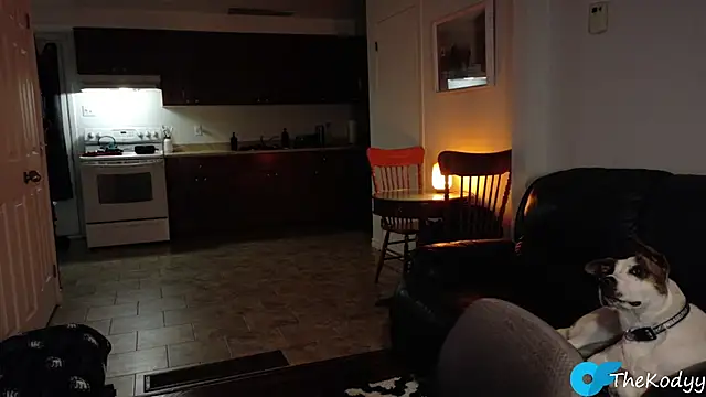 Thekodyy online show from 01/09/26, 06:27