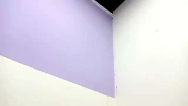 PetiteIvoryQueen19 online show from 02/13/26, 01:01