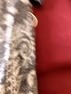 Snapshot of Ananya_34 chatting on 12/03/25, 03:14 Ananya 34 online show from 12/03/25, 03:14