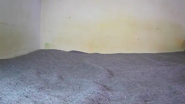 fern tlk online show from 12/24/24, 07:11