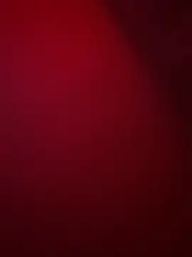 its bellZ05 online show from 06/21/26, 08:44