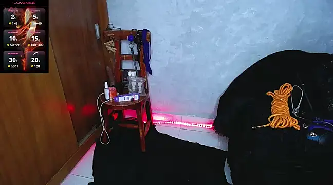 mysteery katty  online show from 12/16/24, 09:31