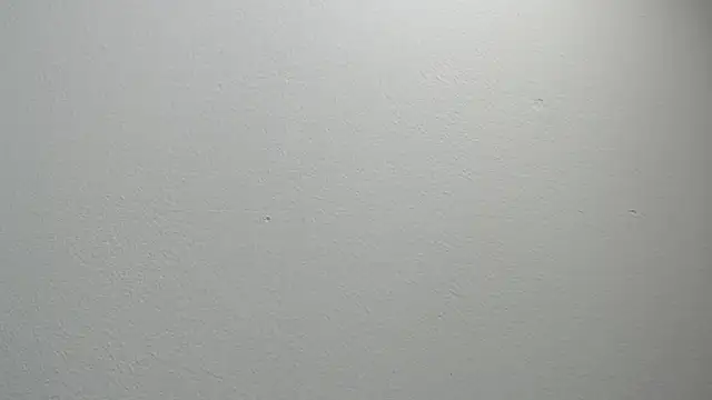 sussy leon online show from 02/11/25, 12:16