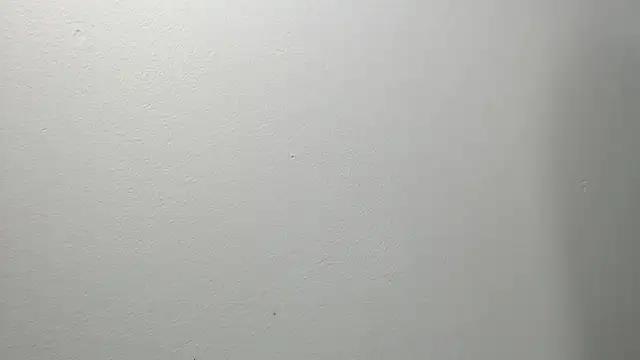 sussy leon online show from 03/04/25, 12:22