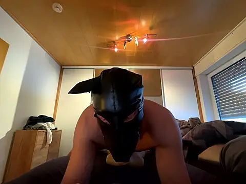 Snapshot of PlayDog123 chatting on 01/11/26, 01:49 PlayDog123 online show from 01/11/26, 01:49
