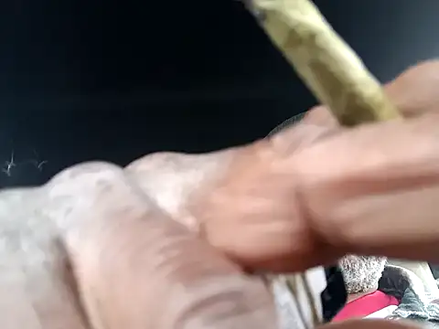 Snapshot of yasohw chatting on 12/12/24, 10:31 yasohw online show from 12/12/24, 10:31