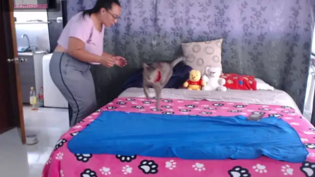 miia-big1boobs  online show from 04/22/26, 05:58