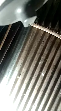 Huebolocko online show from 12/04/24, 03:26