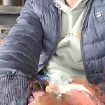 Lumpi1988A online show from 02/19/26, 11:39