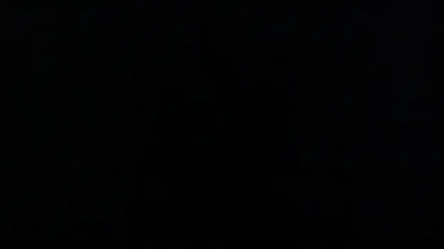 Little Chips online show from 03/17/25, 12:41