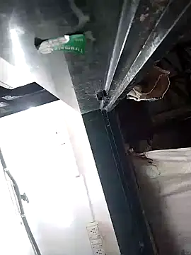 Snapshot of heartless__95 chatting on 02/03/25, 05:18 heartless 95 online show from 02/03/25, 05:18