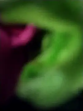 Snapshot of heartless__95 chatting on 03/23/25, 06:47 heartless 95 online show from 03/23/25, 06:47