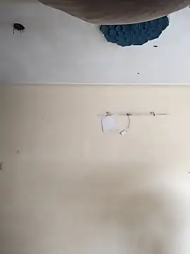 Snapshot of heartless__95 chatting on 10/20/25, 03:29 heartless 95 online show from 10/20/25, 03:29