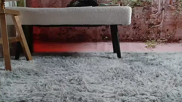 Snapshot of priselvis23 chatting on 03/12/25, 06:22 priselvis23 online show from 03/12/25, 06:22