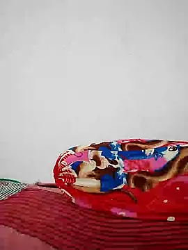 Snapshot of wildsakhi chatting on 01/05/25, 09:15 wildsakhi online show from 01/05/25, 09:15
