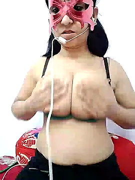 Snapshot of wildsakhi chatting on 02/07/25, 03:52 wildsakhi online show from 02/07/25, 03:52