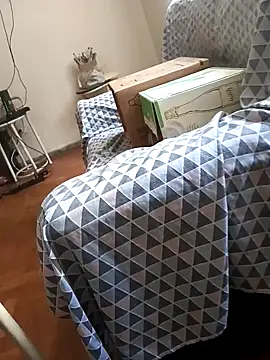 Snapshot of lobomisterioso13 chatting on 01/23/25, 06:35 lobomisterioso13 online show from 01/23/25, 06:35