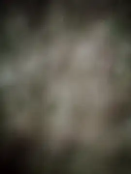 INDIANBOY7439 online show from 03/05/26, 10:33