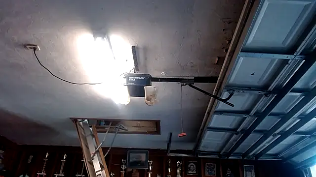 Snapshot of Buffshagswell chatting on 03/19/25, 10:20 Buffshagswell online show from 03/19/25, 10:20