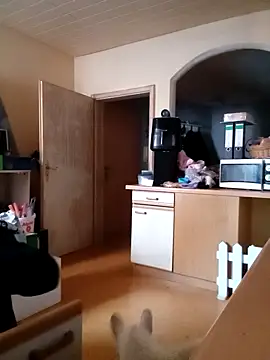 Snapshot of Wishes813 chatting on 02/22/26, 02:04 Wishes813 online show from 02/22/26, 02:04