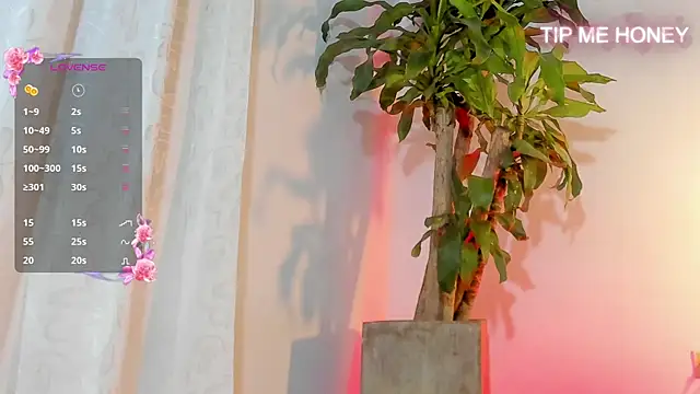 juanmiss online show from 02/03/25, 09:41