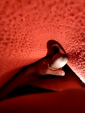 Ssdhaka11 online show from 12/25/24, 07:13