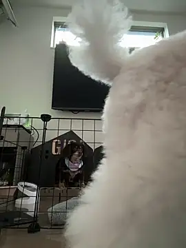 kensnb online show from 03/08/25, 10:02