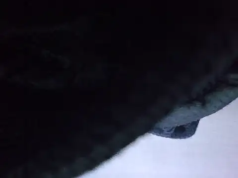 Snapshot of exmilitary chatting on 02/15/26, 12:58 exmilitary online show from 02/15/26, 12:58