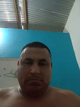 Snapshot of Pipuloc chatting on 06/11/26, 09:46 Pipuloc online show from 06/11/26, 09:46