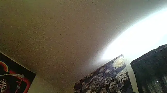 clitstitsandbongrips online show from 02/13/25, 09:17