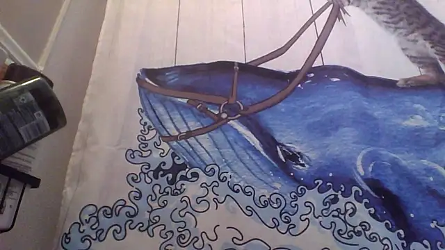 clitstitsandbongrips online show from 09/16/25, 06:03