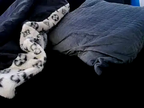 Niquitasparkles online show from 12/23/24, 12:35