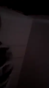 Snapshot of MIGHTY_MAGNUM chatting on 12/09/24, 08:33 MIGHTY MAGNUM online show from 12/09/24, 08:33