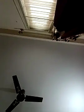 Snapshot of blr_boi chatting on 12/03/25, 06:54 blr boi online show from 12/03/25, 06:54