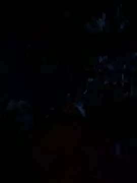 Snapshot of janberlin chatting on 06/19/26, 01:43 janberlin online show from 06/19/26, 01:43