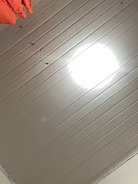 magalunabb online show from 01/28/25, 09:29