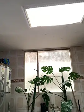 Miss oliviaa online show from 11/26/25, 05:14