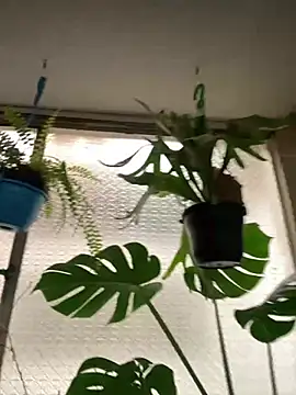 Miss oliviaa online show from 03/10/26, 06:02